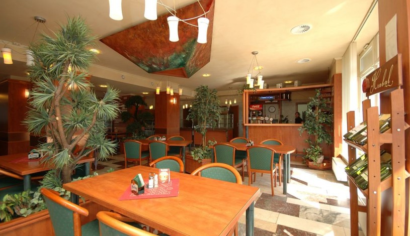 Žďárský hotel Jehla Žďár nad Sázavou